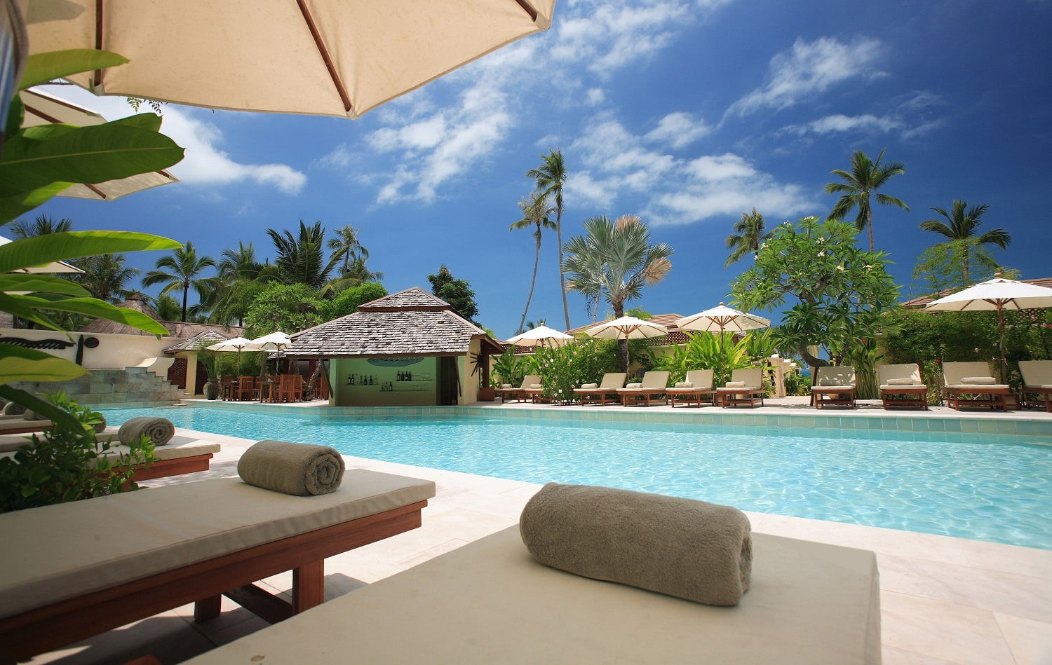 pexels-thorsten-technoman-338504-1500x1000-optimized-1